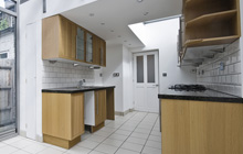 Derwen kitchen extension leads